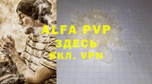 apvp Горняк