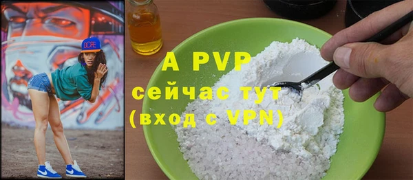 apvp Горняк